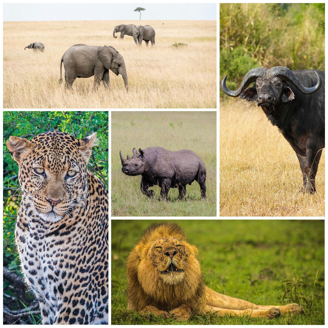 Akagera National Park 1